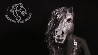 Лошадь-транссексуал наслаждается