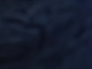 {Wild Life} Shey x Grok