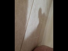 Shower shadow - Screenshot 1 of 16 - Reverse Cowgirl