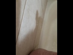 Shower shadow - Screenshot 5 of 16 - Reverse Cowgirl