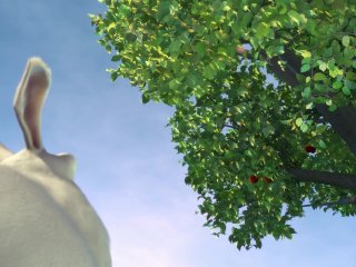 For Sale_VS:false_2020/11/23 13:30