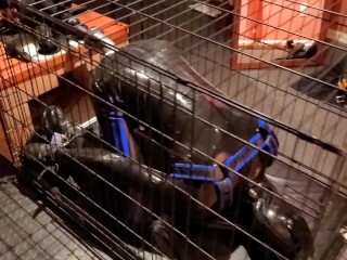 Relentless Anal Plowing of a Restrained Rubber Gimp in a Cage, Locked in Chastity and Gagged