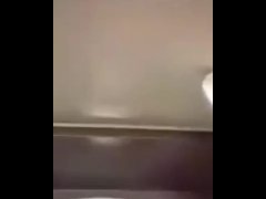 Young bull ! No competition! 