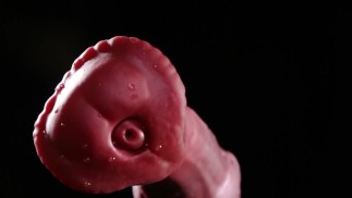 Деталь фаллоимитатора Bad Dragon Chance с расклешенной лошадью