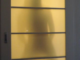 Silhouette Striptease