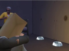 The Orange Room