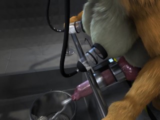 Milk Zoo