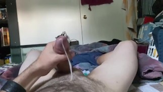 на утреннем лесу 