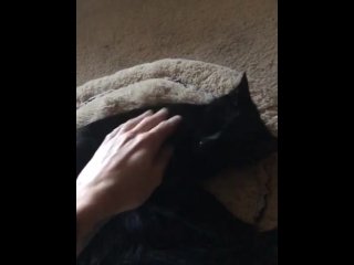White boy strokes black pussy 