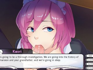 visual novel, hardcore, adult gaming, gaming