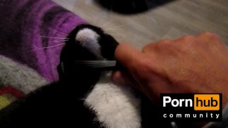 Pussy Loves Graffiti and Throats the Pen (музыка: Джон Браво)