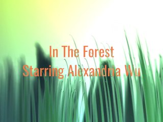 In The Forest Promo