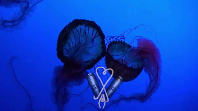 Watch Bondage Video:Episode 13: Women In Kink