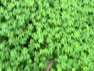 FETICHE DE PIES - CAMINANDO SOBRE LA HIERBA Y LA TIERRA