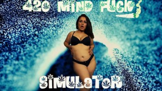 420 Симулятор MindFuck