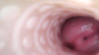 在 Riley Reid 的 Fleshlight 中射精