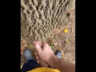 Teen Jerks off behind a Tree and Cums in it