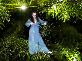 Dance Of The Christmas Fairy- sexy sugarplum fairy shares holiday magic