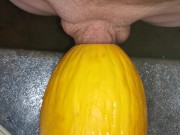 Preview 1 of Big cock fucking a melon ( canary ) close up