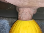 Preview 5 of Big cock fucking a melon ( canary ) close up