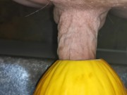 Preview 6 of Big cock fucking a melon ( canary ) close up