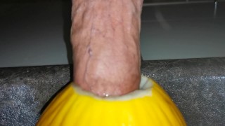 Big cock fucking a melon ( canary ) close up