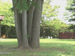 【無】ムチムチボディの前と後ろから猛烈に入れてみた パート1 - Screenshot 2 of 16 - Masturbate