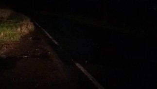 Netzbody außen mit vorbeifahrendem Auto