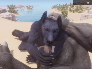 Wild Life / Black Wolf Gets Pounded POV Furry
