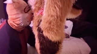 Sultry Fox Ruins His Christmas