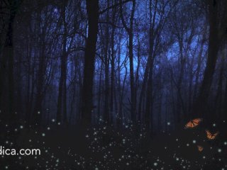 Loving for_Insomnia - Positive SFW audio by Eve's Garden - relax_and drift off