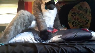 Cute furry/animated favs