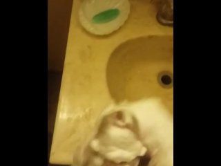 Shaving Cream Blast