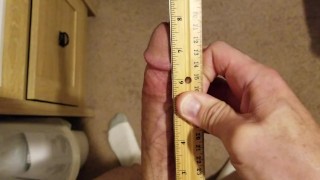 My Erect Length As Measured