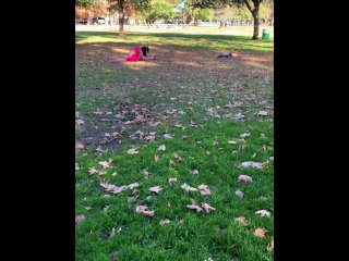 Hot Yoga Babe Alina Lopez Fucked and Creampie screenshot number 0