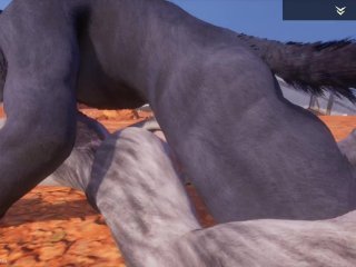 Wild Life /_Furry Porn WithWolf Creampie