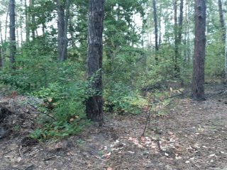 Bicycle ride ended with blowjob in the park