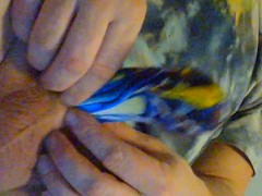 more balloons - Screenshot 13 of 16 - Big Cock