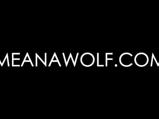 Delivery - Meana Wolf