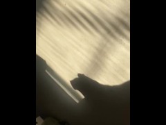 Shadow play  - Screenshot 1 of 16 - Shadow