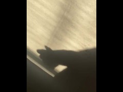 Shadow play  - Screenshot 15 of 16 - Solo