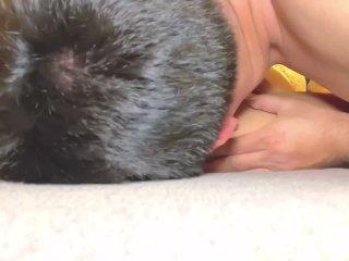 Fuck the Doctor on Sofa andCum Inside_Her Pussy