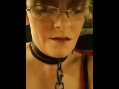 Collared and Leashed Driving Through Town 3/16