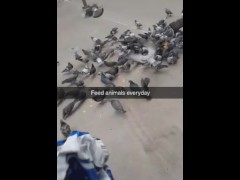 Feeding the pigeons at college park