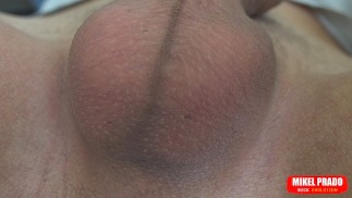 Мошонка с яйцами быстро движется