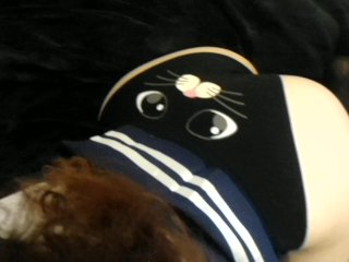 blowjob, cosplay, schoolgirl uniform,  masque