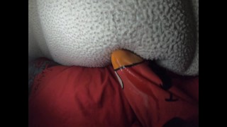 Mojado Dream con 5 minutos de precum goteando. Elmo obtiene una nariz mojada LOL