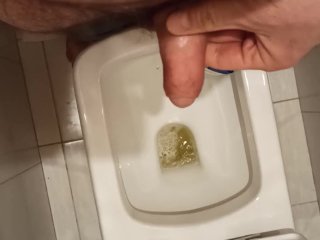 russian amateur, toilet, pornub, homemade