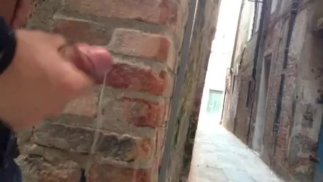 Cumshot in Venice