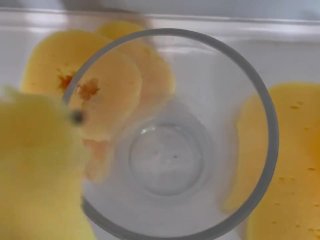 How to make the best home made sex toy